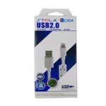 CABLE IPHONE A USB 2.0 ANTI INTERFERENCIA